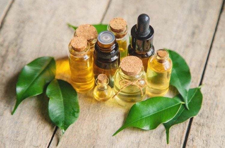 چگونه روغن ترکیبی خانگی برای رشد مو بسازیم: راز موهای پرپشت و سالم